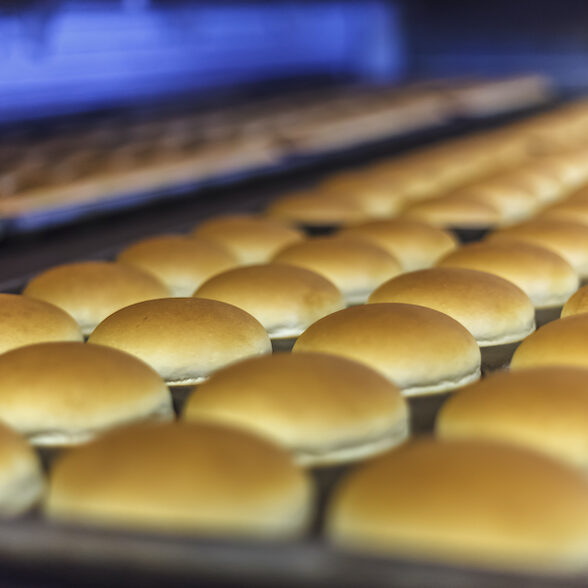 Hamburger breads goes out from bakery